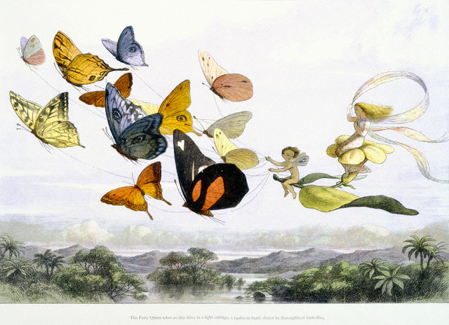 Fairy Queen Takes an Airy Drive in a Light Carriage by Richard Doyle