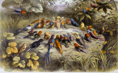 Astrolore’s Weekly Astrology Forecast: May 19, 2014 through May 25, 2014