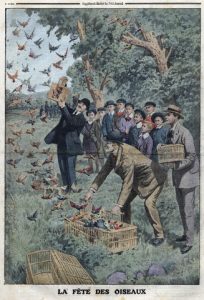 Illustration of fete of birds from Le Petit Journal. 1913