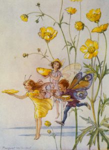 Book Illustration of Fairies with Yellow Flowers by Margaret Winifred Tarrant