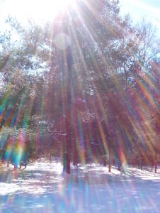 Rainbow Splash by Janice Montecalvo of Providence, RI