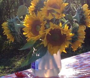 Astrolore’s Weekly Astrology Weather: July 20, 2015 through July 26, 2015