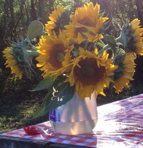 Sunflowers by Laurie Farrington of St. Albans, VT