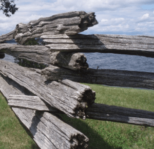 Fence by the Water by Laurie Farrington of St. Albans, VT