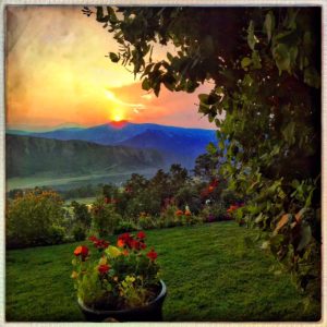 Gorgeous by Deanna Brinkman