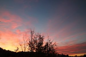 West Sky View by Janice Montecalvo of Providence, RI