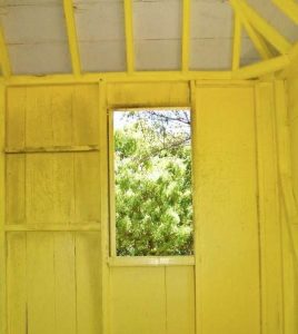 Yellow View by Juliana Harris