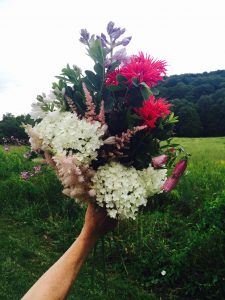 Country Flowers by Harmony Hansen