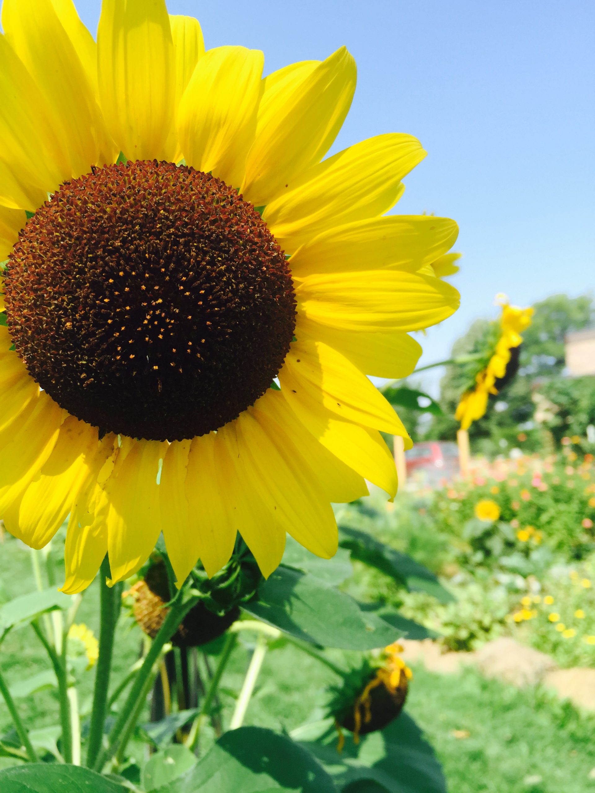Find Time for Silence; Virgo New Moon Eclipse on Sunday 9/13