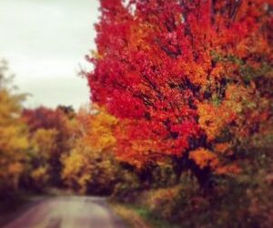Astrolore’s Weekly Astrology Weather: October 19, 2015 through October 25, 2015