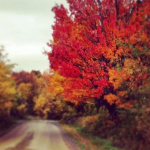 Heading Home by Laurie Farrington