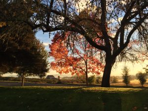October Light by Jess Clark
