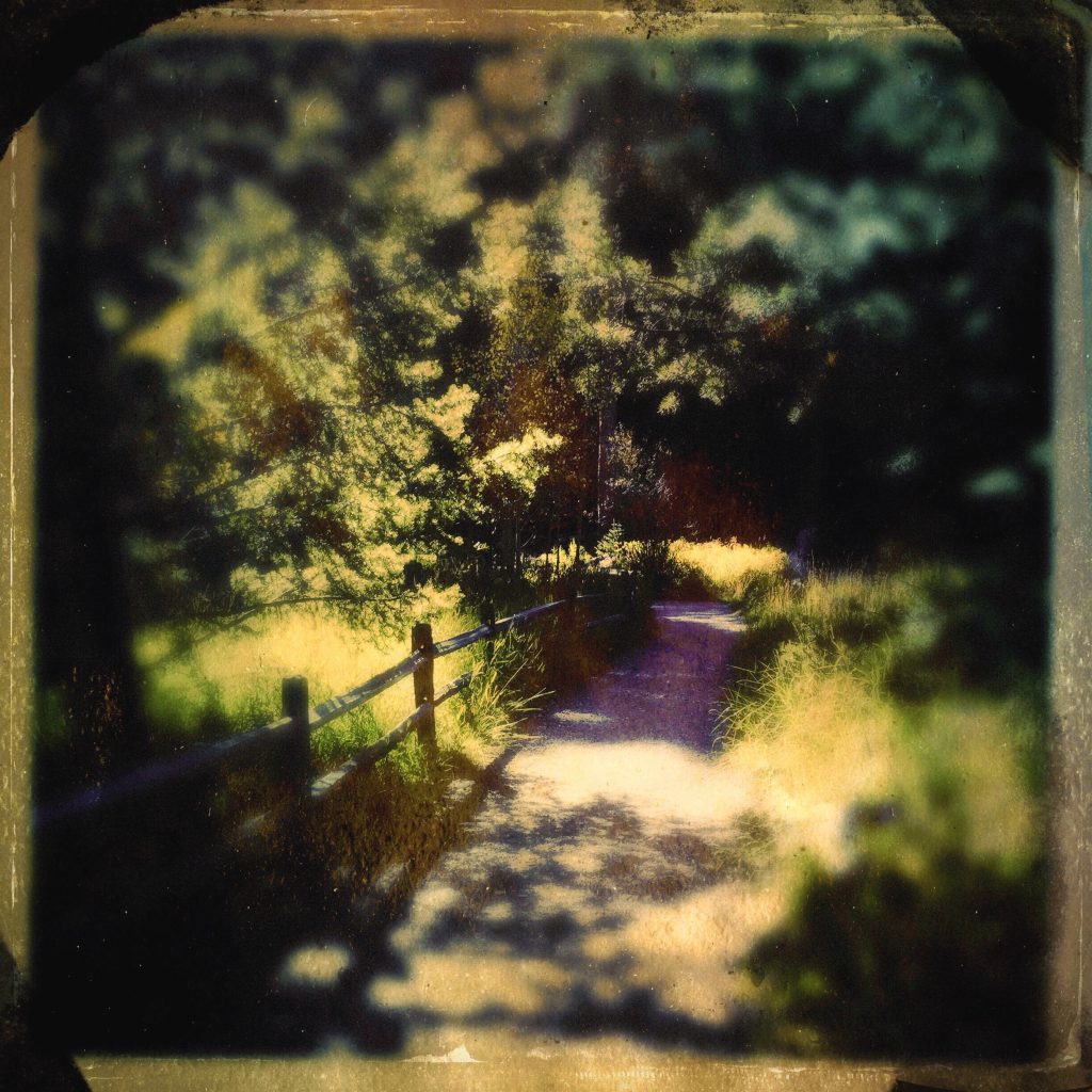 Road Less Traveled by Deanna Brinkman