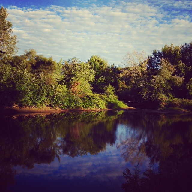 The Pond by Laurie Farrington