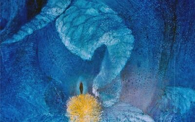 Astrolore’s Weekly Astrology Weather: February 1, 2016 through February 7, 2016