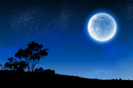 Blue Moon via Pinterest