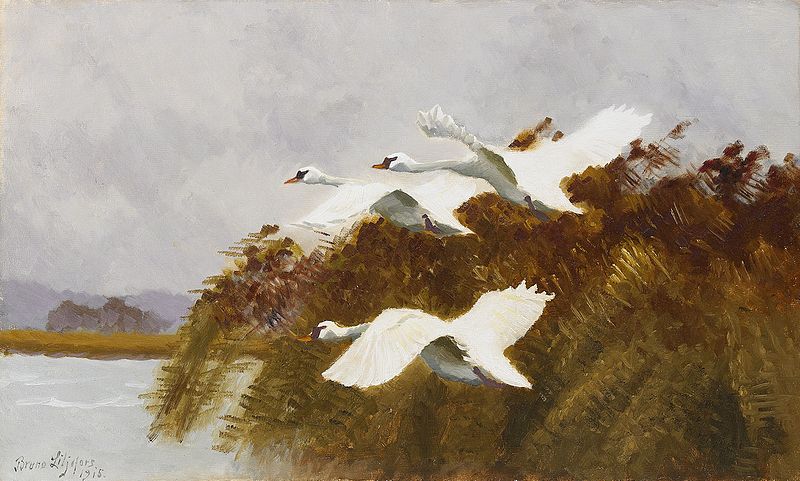 Stretching Swans by Bruno Liljefors via Wiki Commons