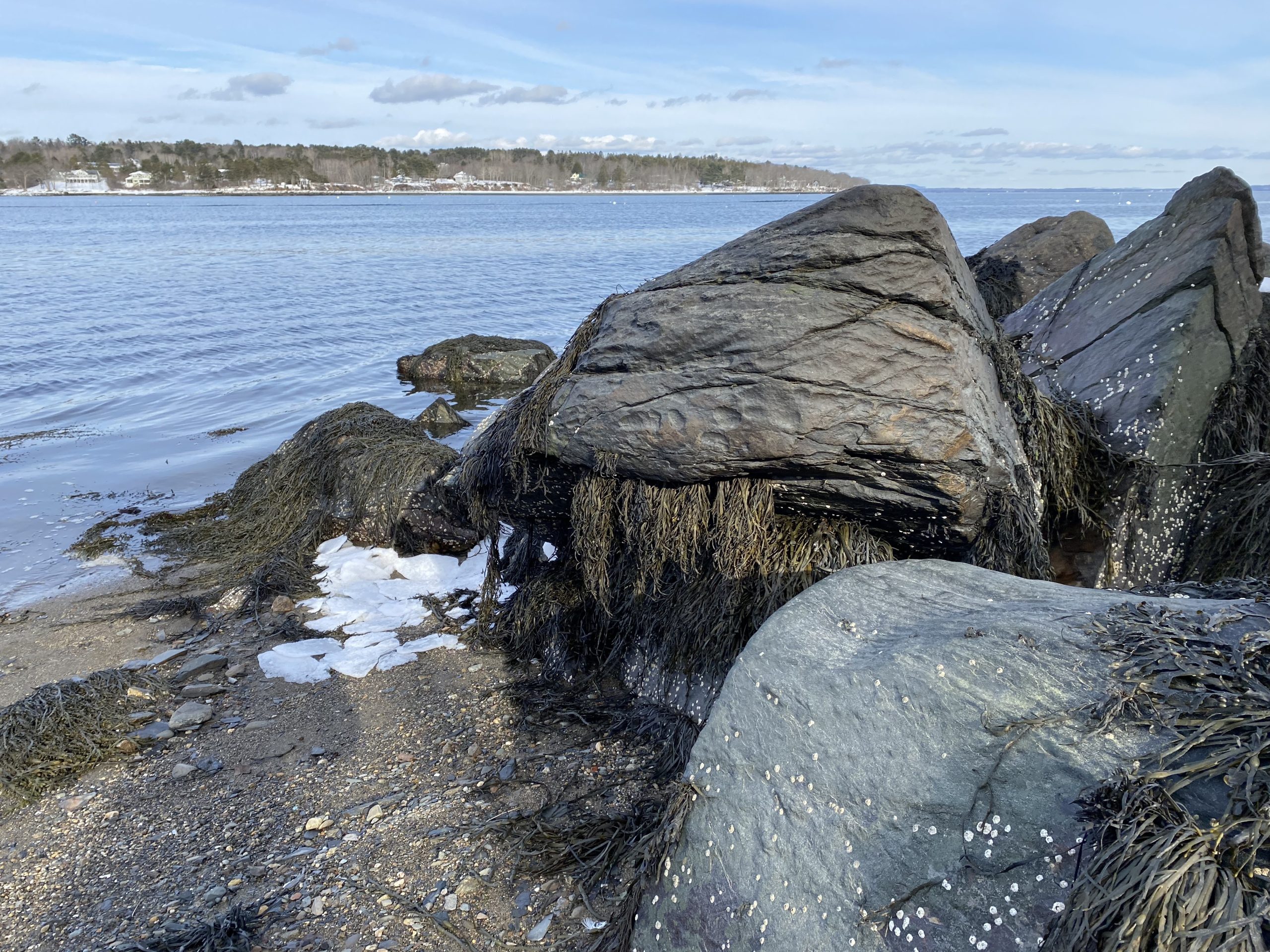 Vacationland in Winter