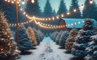 Laurie’s Weekly Astrology Forecast: December 2, 2024 through December 8, 2024
