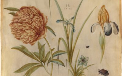 Laurie’s Weekly Astrology Forecast: November 10, 2025 – November 16, 2025