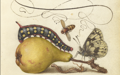 Laurie’s Weekly Astrology Forecast: April 13–19, 2026