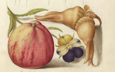 Laurie’s Weekly Astrology Forecast: September 28, 2026 – October 4, 2026